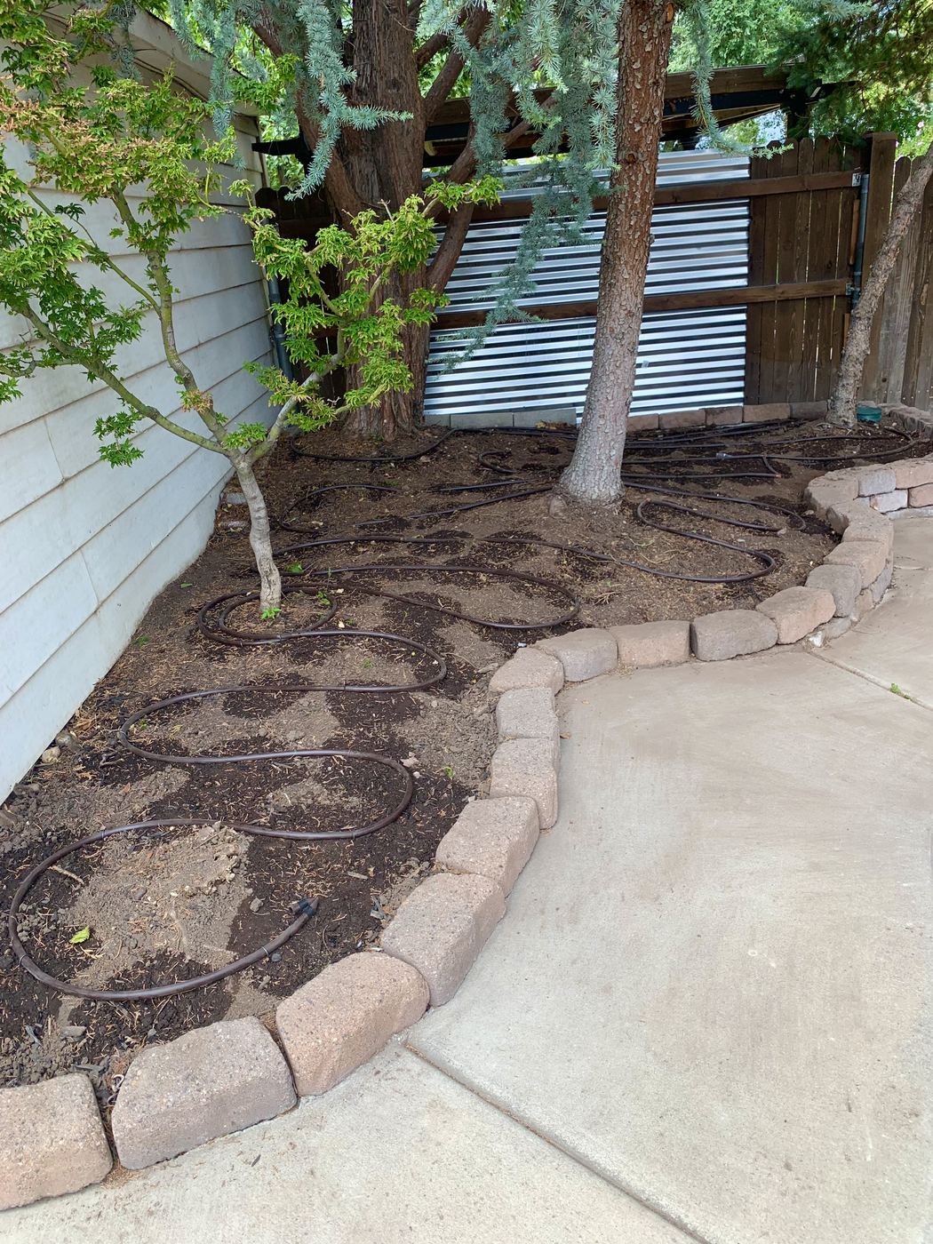 Drip lines installed in a shaded side-yard bed with a stone retaining wall