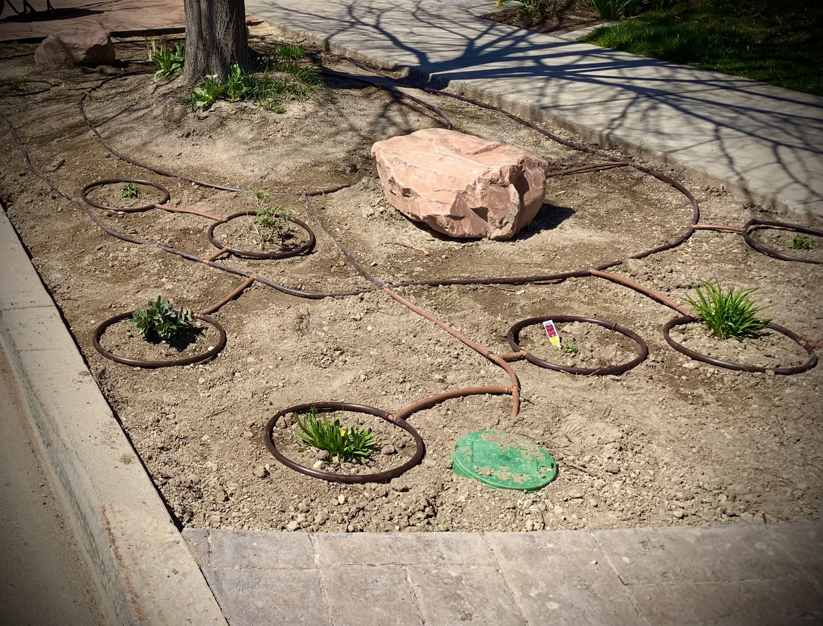Sprinkler System Conversion