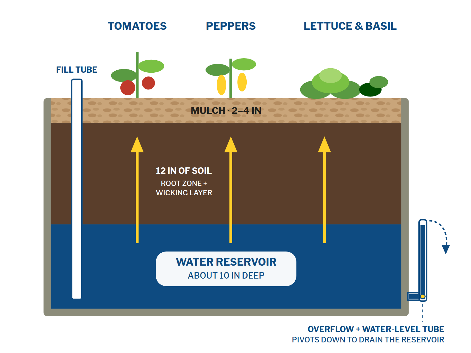 Cutaway of a wicking bed: 2 to 4 inches of mulch over 12 inches of soil, above a water reservoir about 10 inches deep. Water wicks up through the soil to tomatoes, peppers, lettuce and basil. A fill tube reaches the reservoir, and an overflow and water-level tube on the side pivots down to drain it.